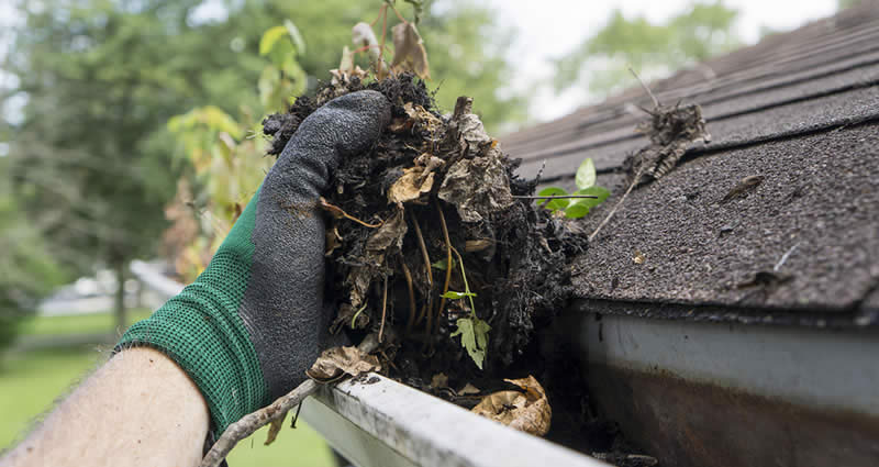 Gutter Cleaning Nikola Valley and Okanagan