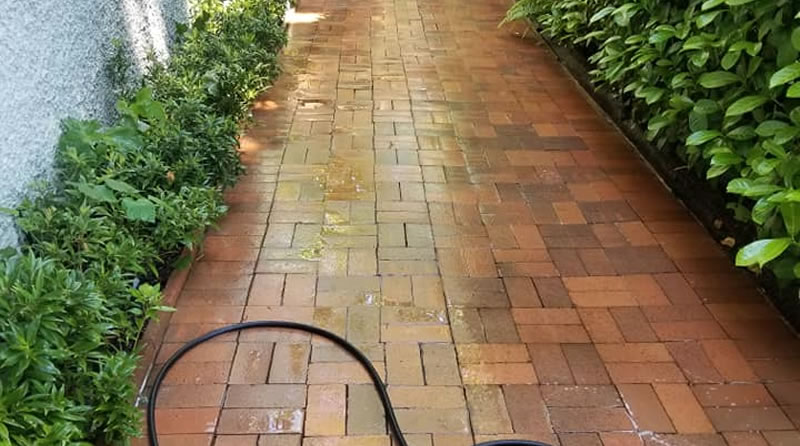 Pressure Washing and Power Washing Company